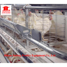 New Design /Automatic Poultry Farming Equipment for Layer Chicken Cage